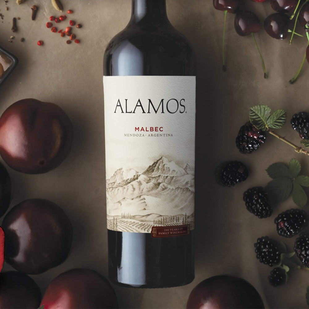 Álamos Malbec 2021 750 ml