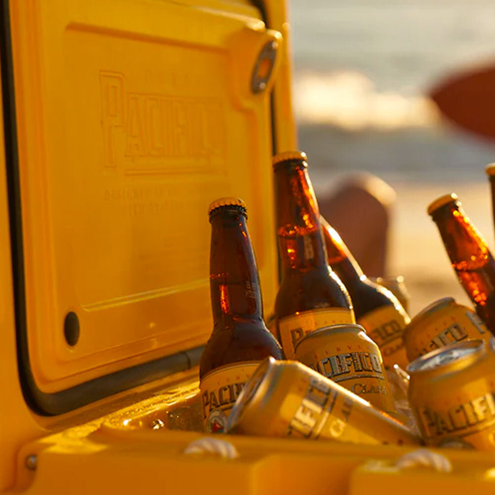 Pacifico, paquete de 12, botellas de 12 oz