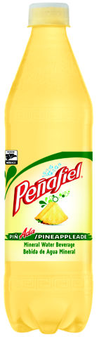 Peñafiel Piñada Pineappleade Flavored 20.3oz image 0