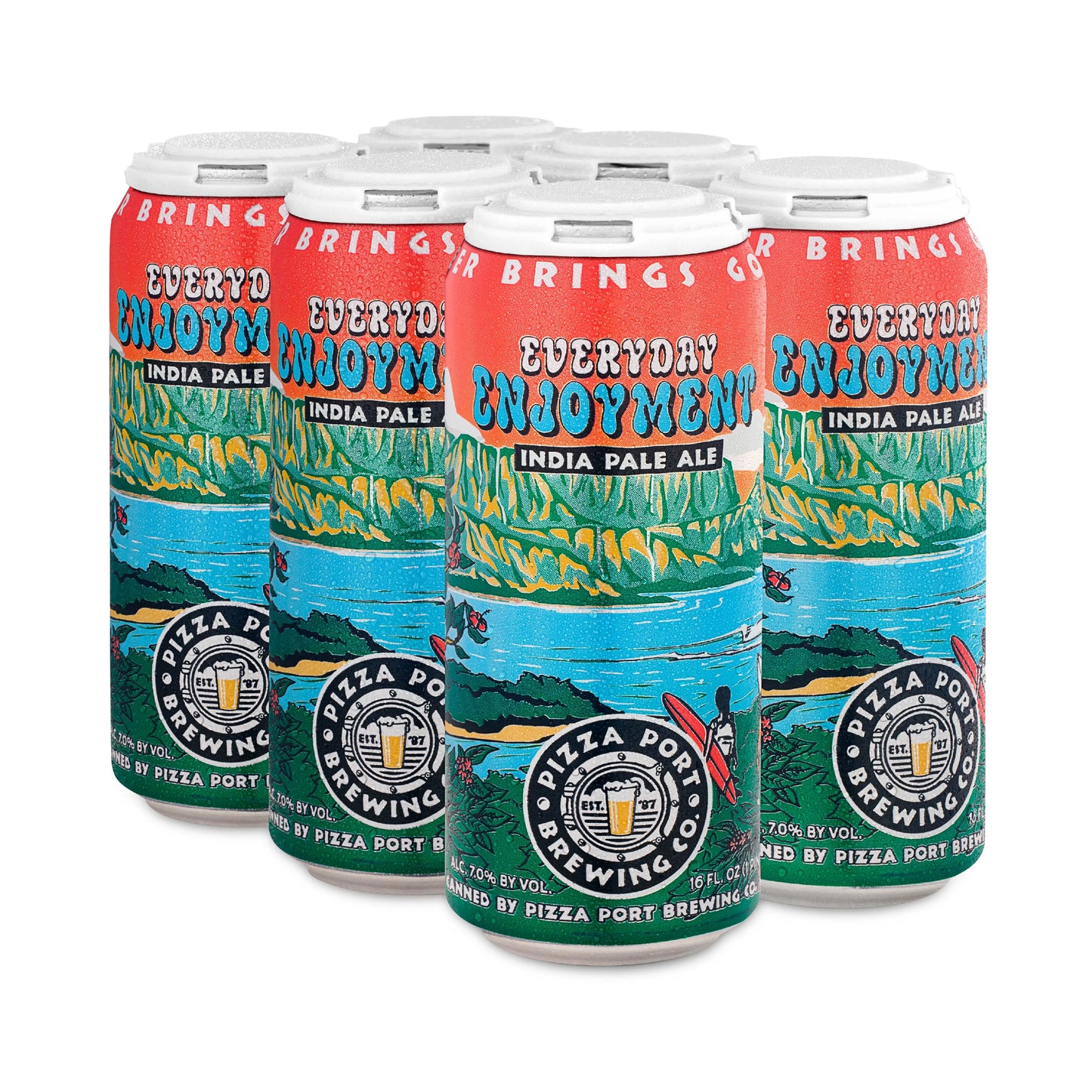 Everyday Enjoyment IPA  6pk - 16oz Cans image 0